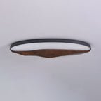 Half - Mountain Ceiling Lamp
