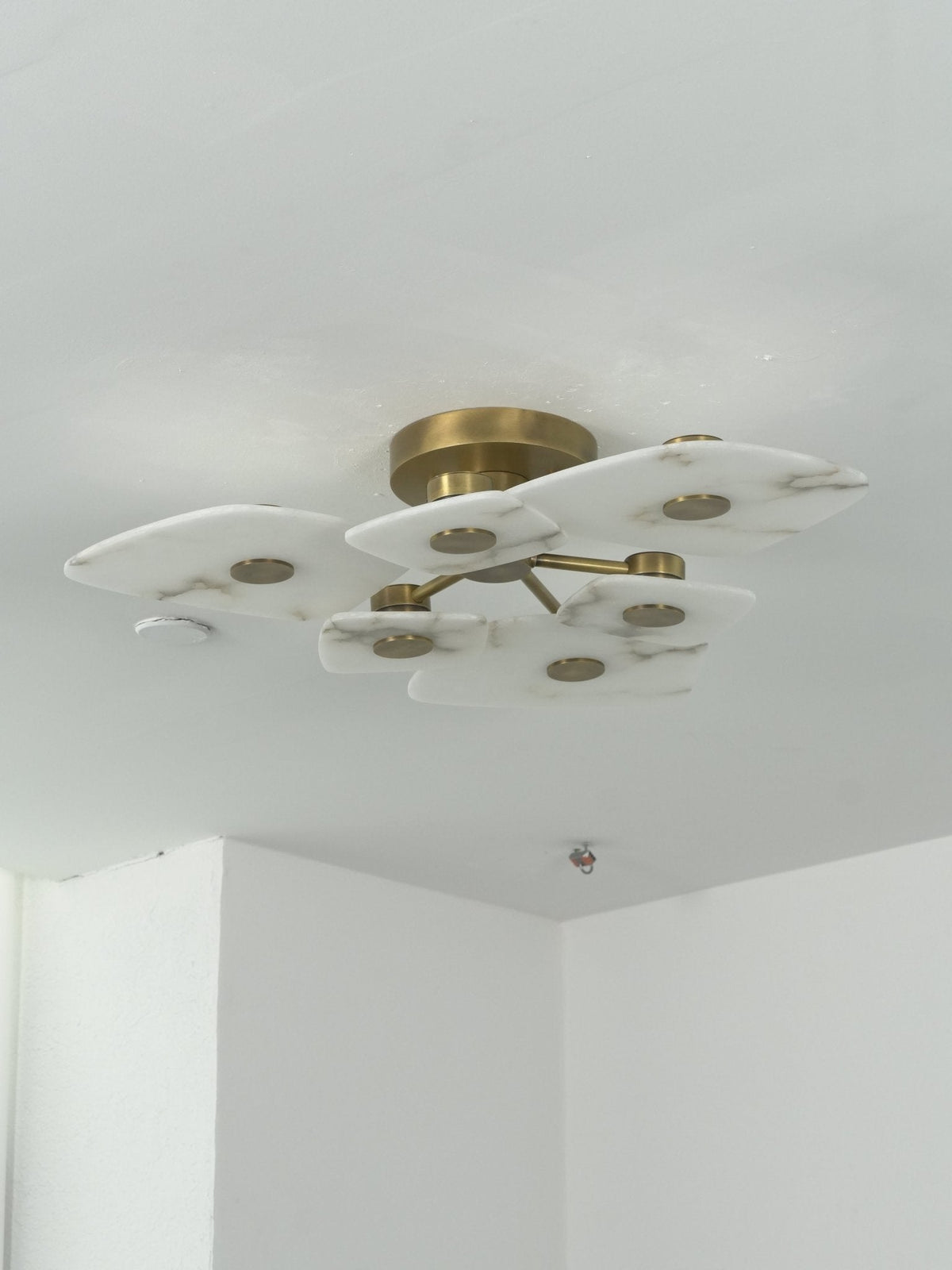 Holmdel Ceiling Lamp