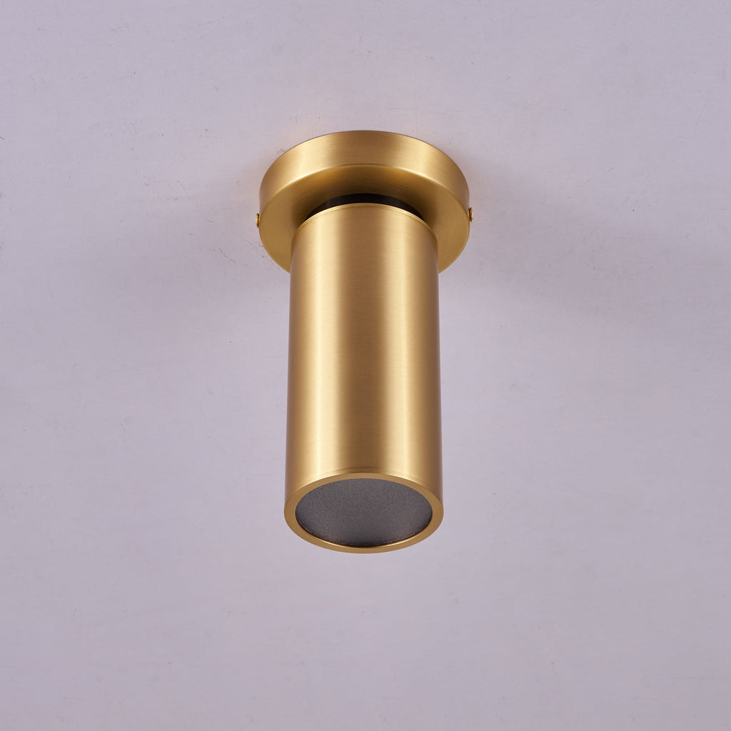 Horizon Brass Spot Light