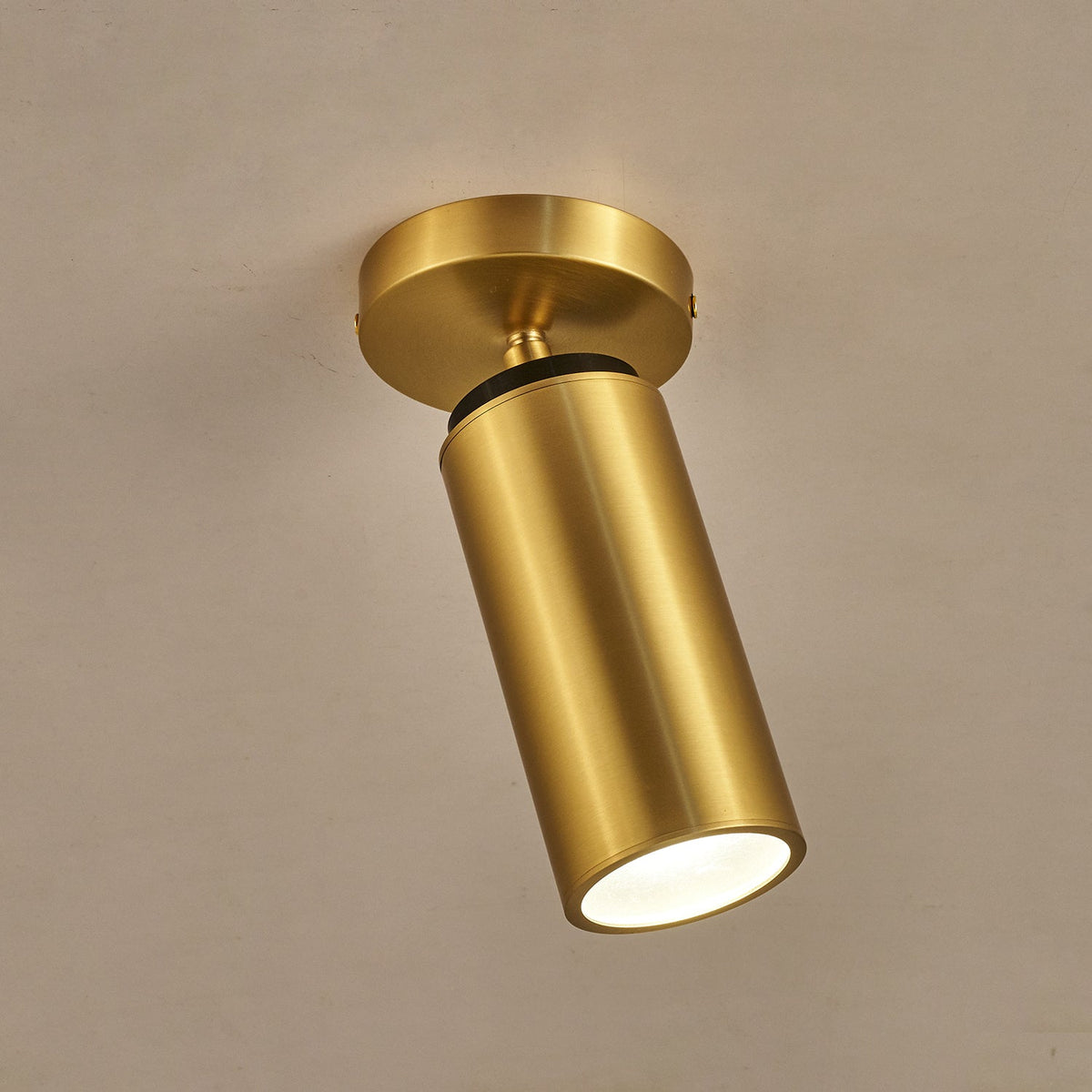 Horizon Brass Spot Light