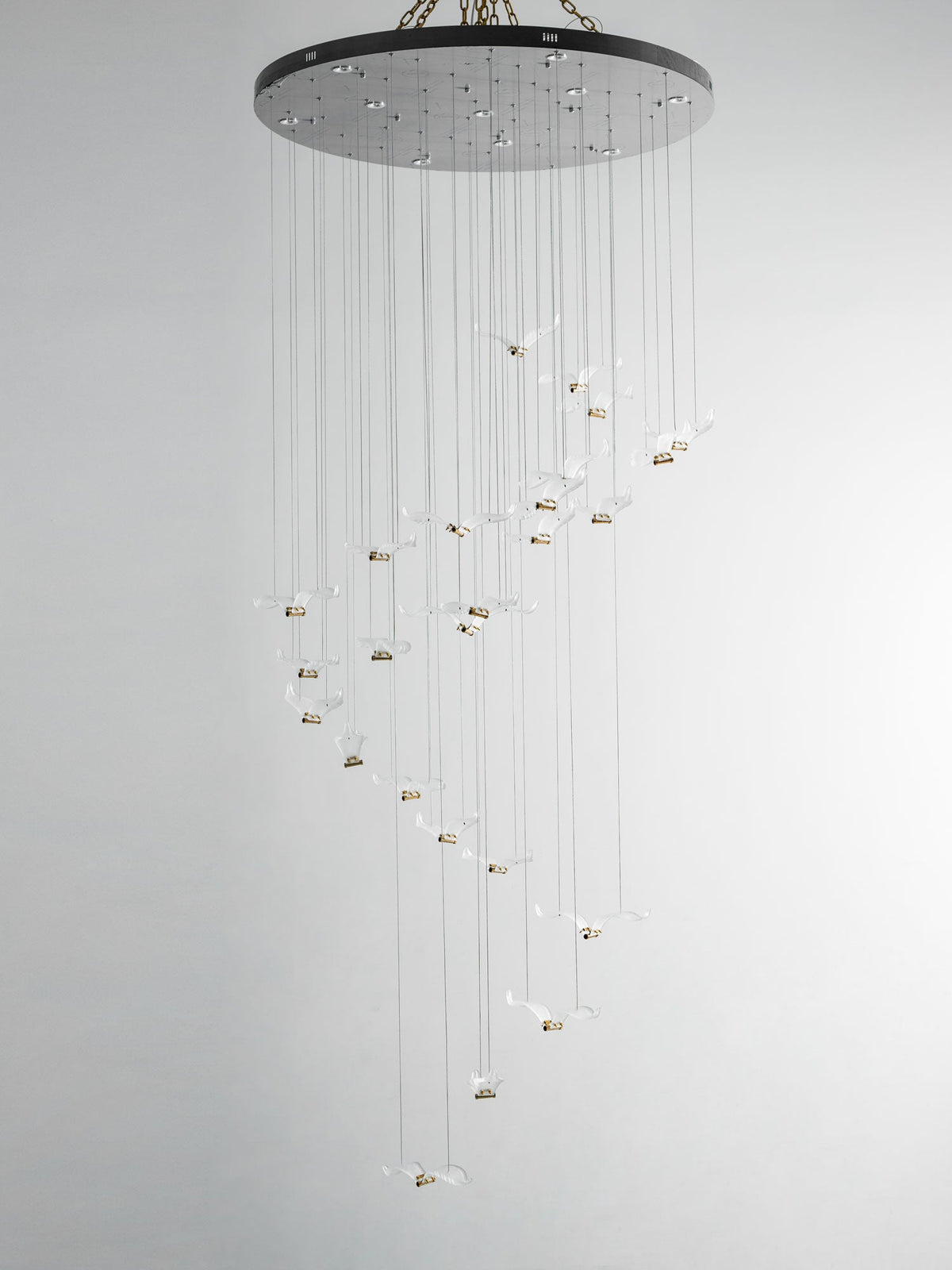 Large Seagull Chandelier