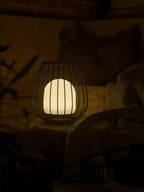 Liora Rechargeable Outdoor Lantern Light