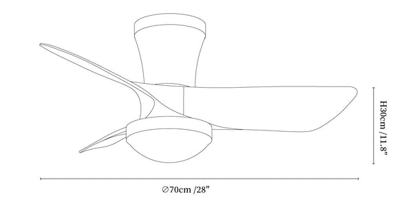 Lirien Ceiling Fan Light