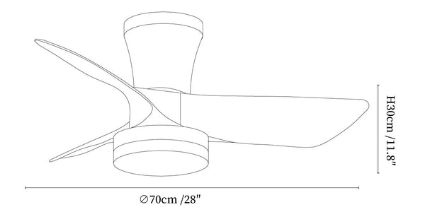 Lirien Ceiling Fan Light