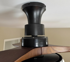 Lotus Bloom Ceiling Fan Light