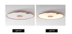 Lotus Leaf Acrylic Ceiling Lamp