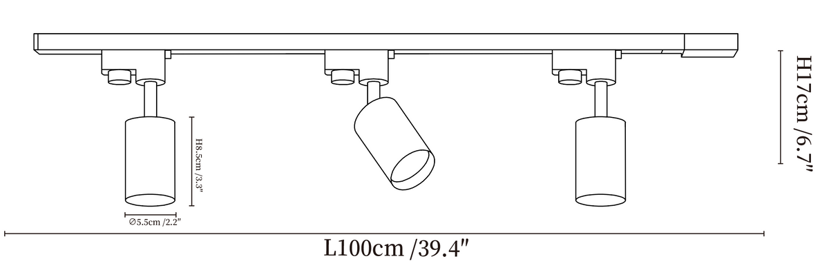 Auric Track Light