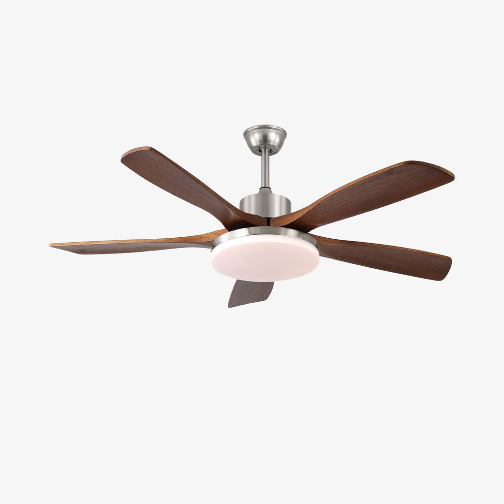 Lunet Ceiling Fan Light