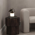Luolongzi Built-in Battery Table Lamp