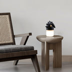 Luolongzi Built-in Battery Table Lamp