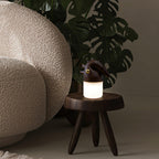 Luolongzi Built-in Battery Table Lamp
