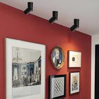 Maxwell Pivot Surface Downlight