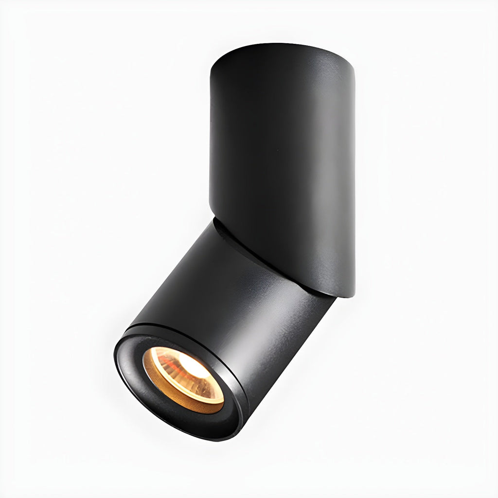 Maxwell Pivot Surface Downlight