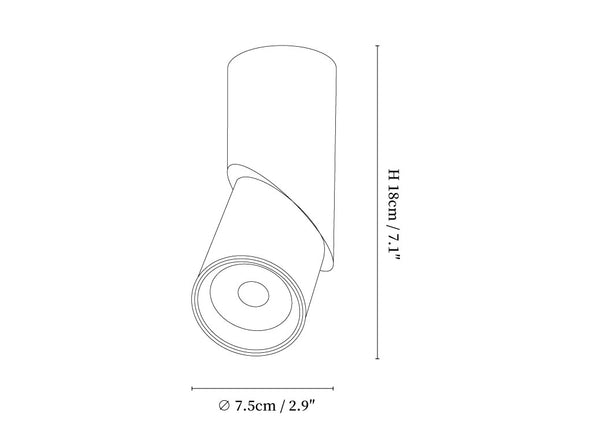 Maxwell Pivot Surface Downlight
