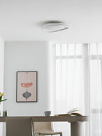 Minimalist Geometry LED Ceiling Light