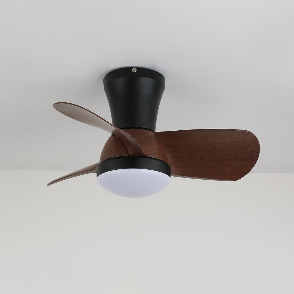 Miro Ceiling Fan Light