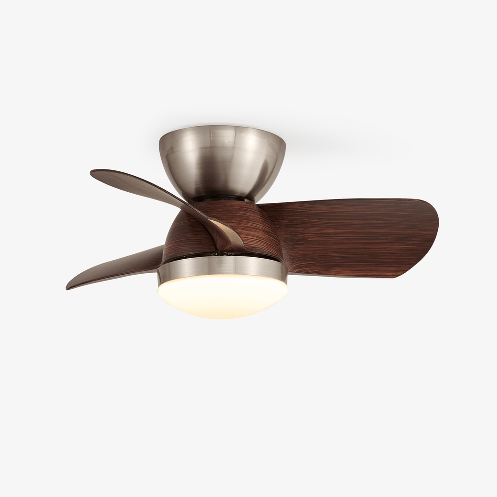 Miroter Ceiling Fan Light