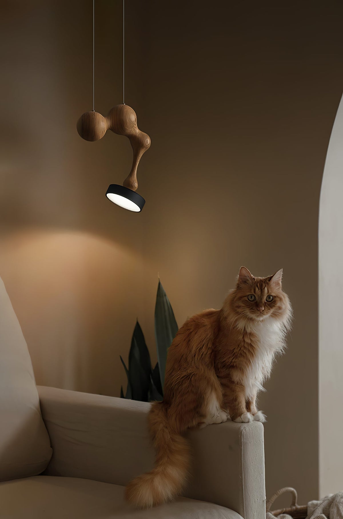 Molecule Wooden Pendant Light