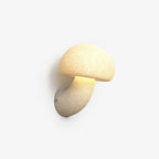 Mushroom Resin Plug - in Wall Lamp
