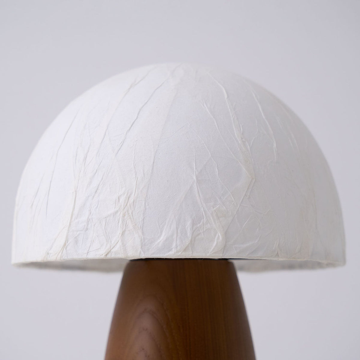 Myco Mushroom Table Lamp