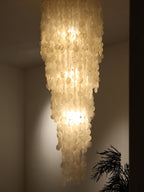 Nerida Shell Chandelier