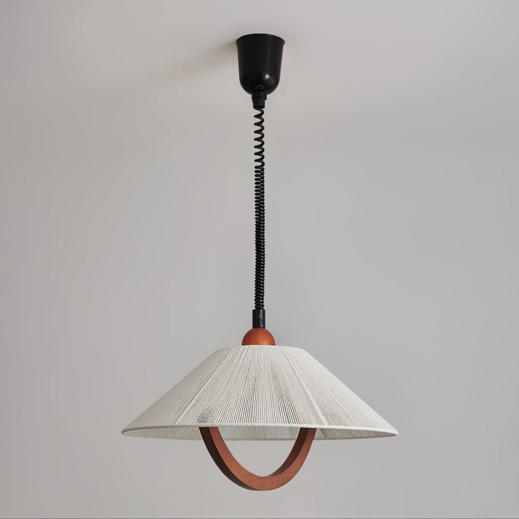 Nimbus Arc Pendant Light