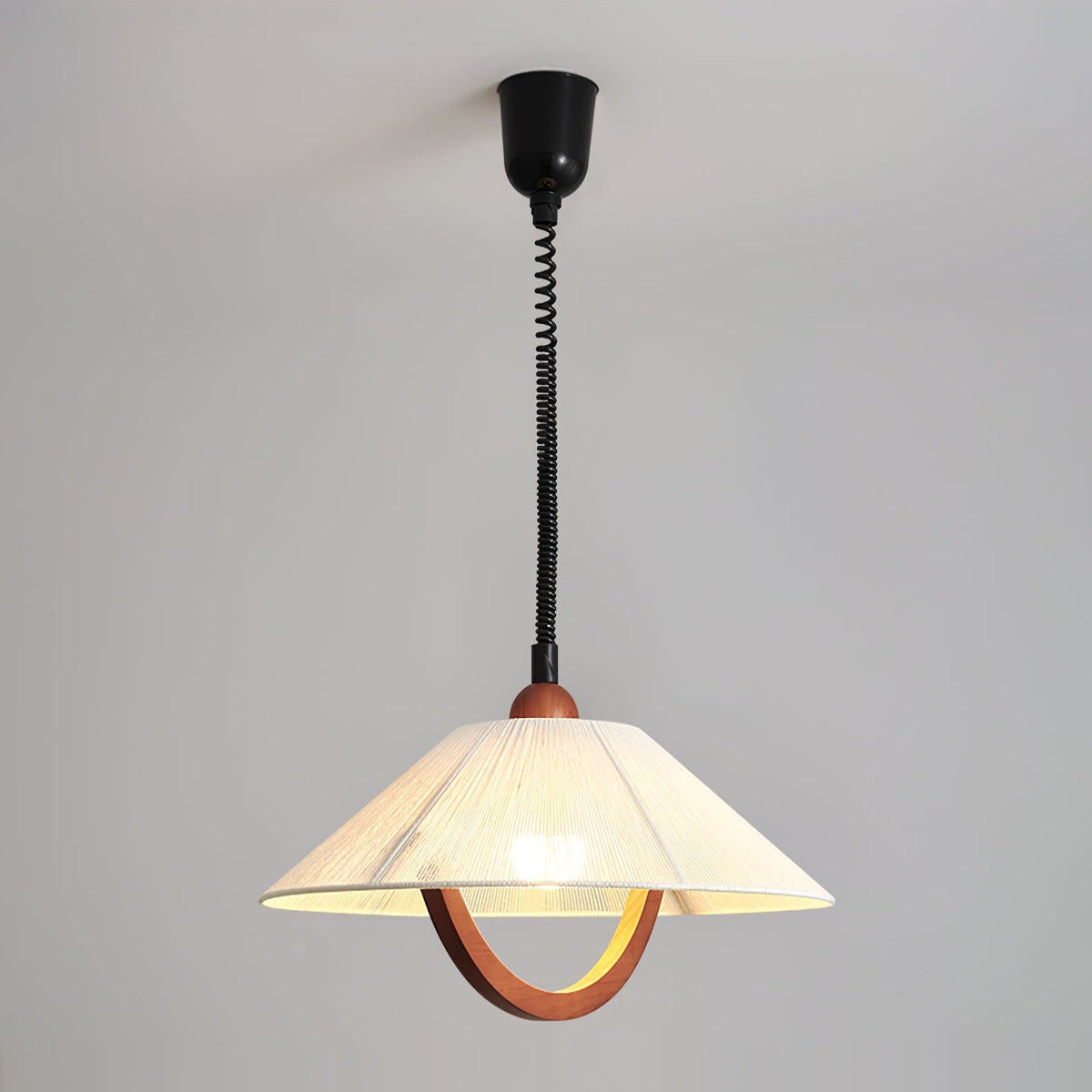 Nimbus Arc Pendant Light