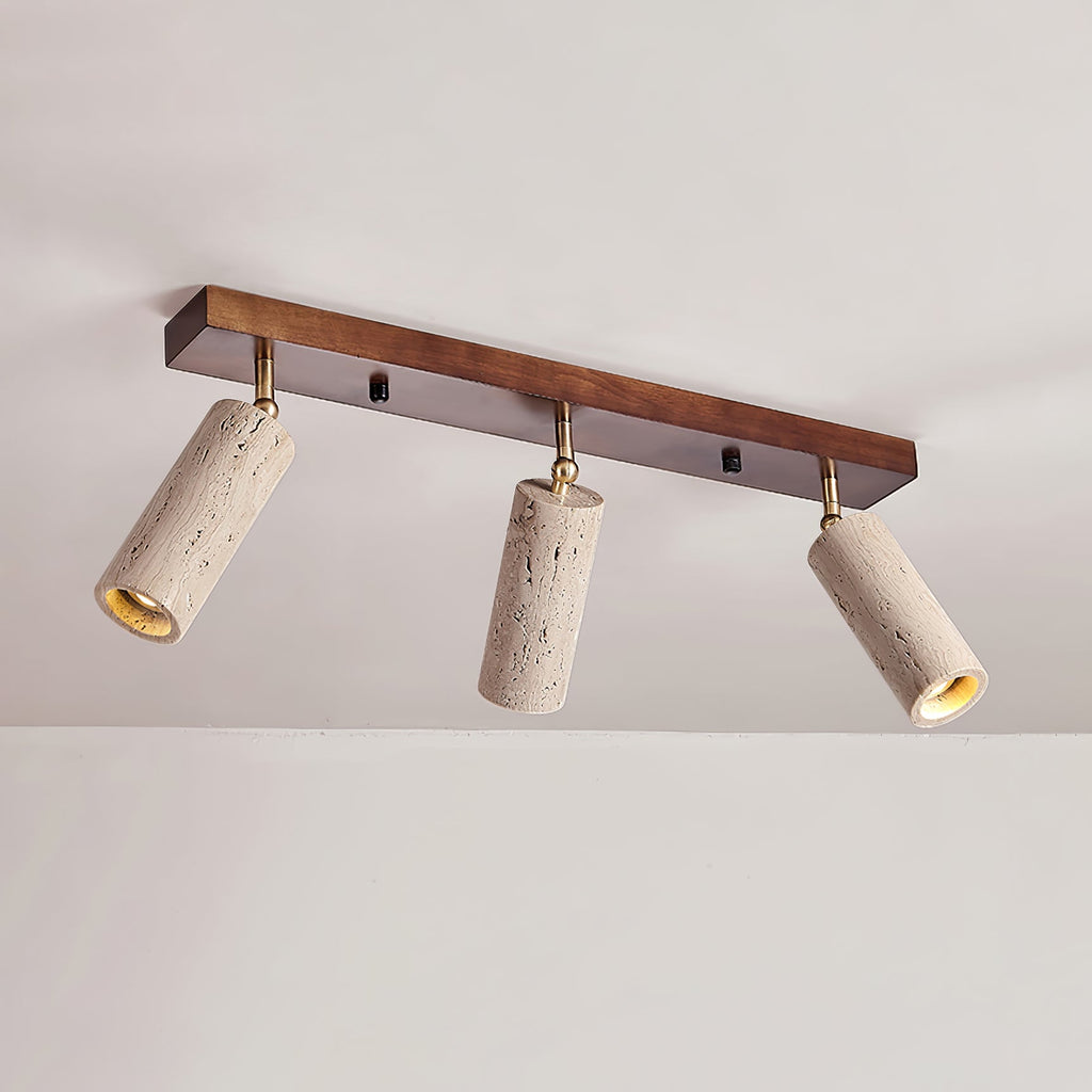 Nimbus Ceiling Spotlight