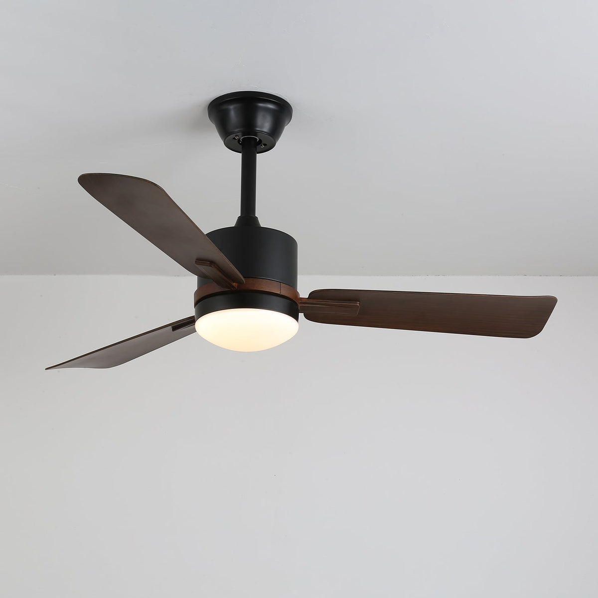 Nimora Ceiling Fan Light