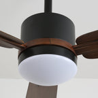 Nimora Ceiling Fan Light