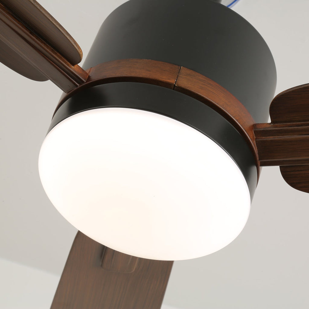 Nimora Ceiling Fan Light