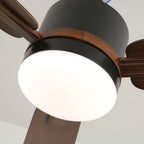 Nimora Ceiling Fan Light