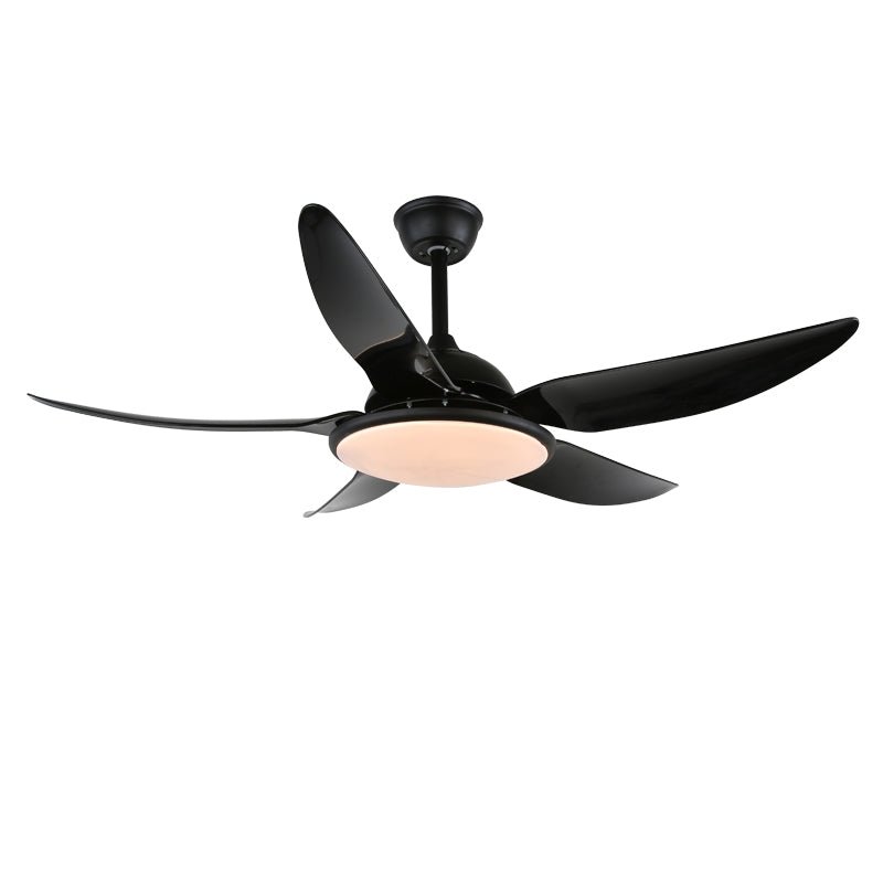 Noctura Ceiling Fan Light