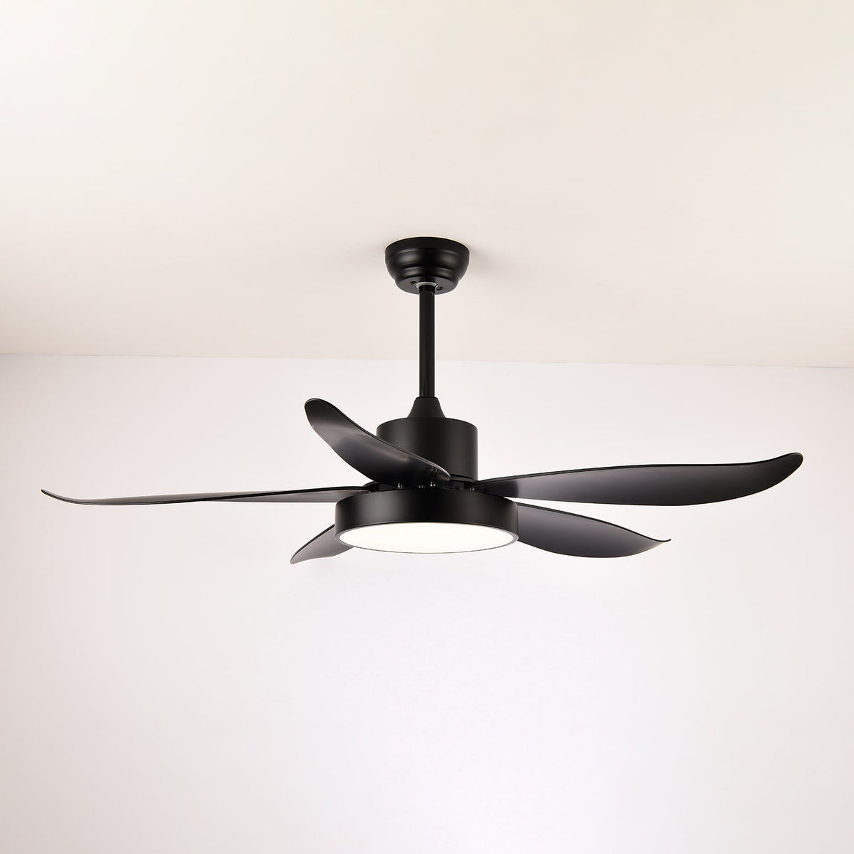 Noctura Glide Ceiling Fan Light