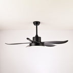 Noctura Glide Ceiling Fan Light