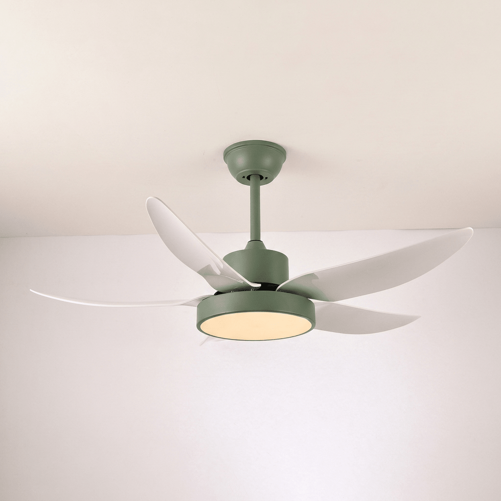 Noctura Glide Ceiling Fan Light