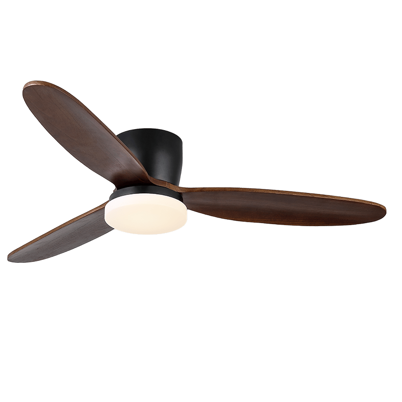 Nocturnus Ceiling Fan Light