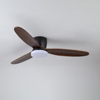 Nocturnus Ceiling Fan Light