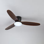 Nocturnus Ceiling Fan Light