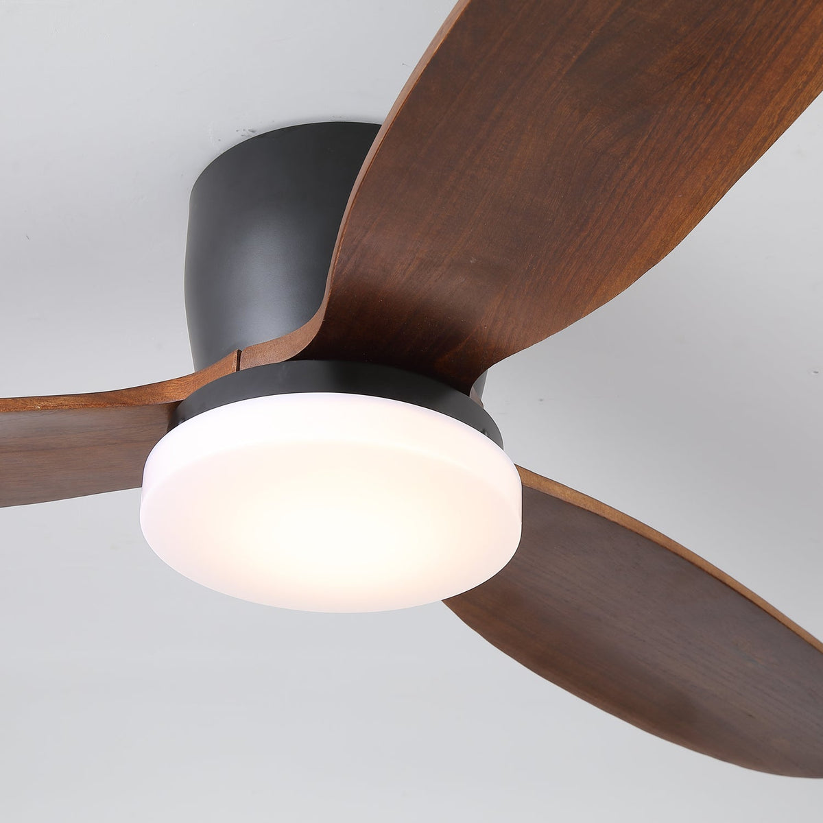Nocturnus Ceiling Fan Light