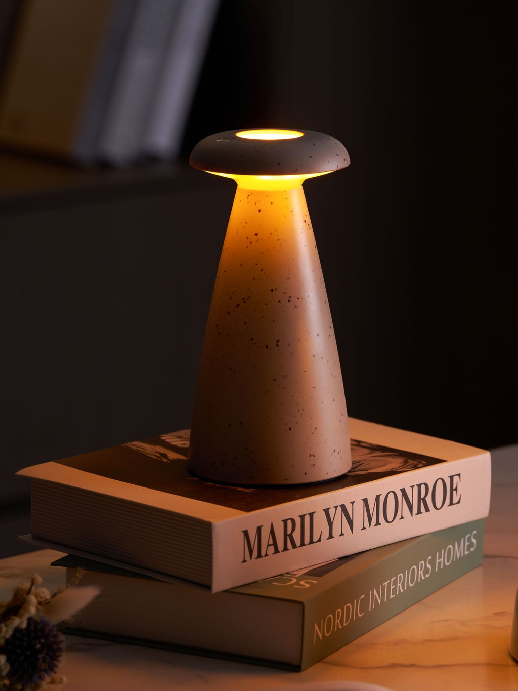 Noko Mushroom Rechargeable Table Lamp