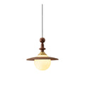Orben Globe Pendant Light