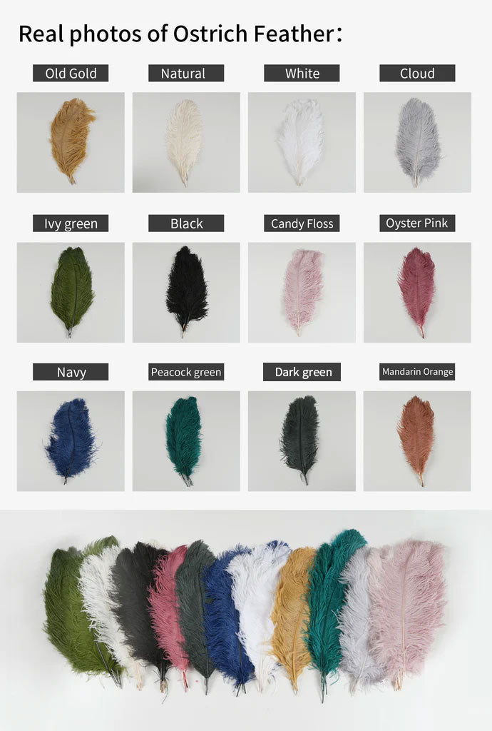 Ostrich Feather Brass Floor Lamp
