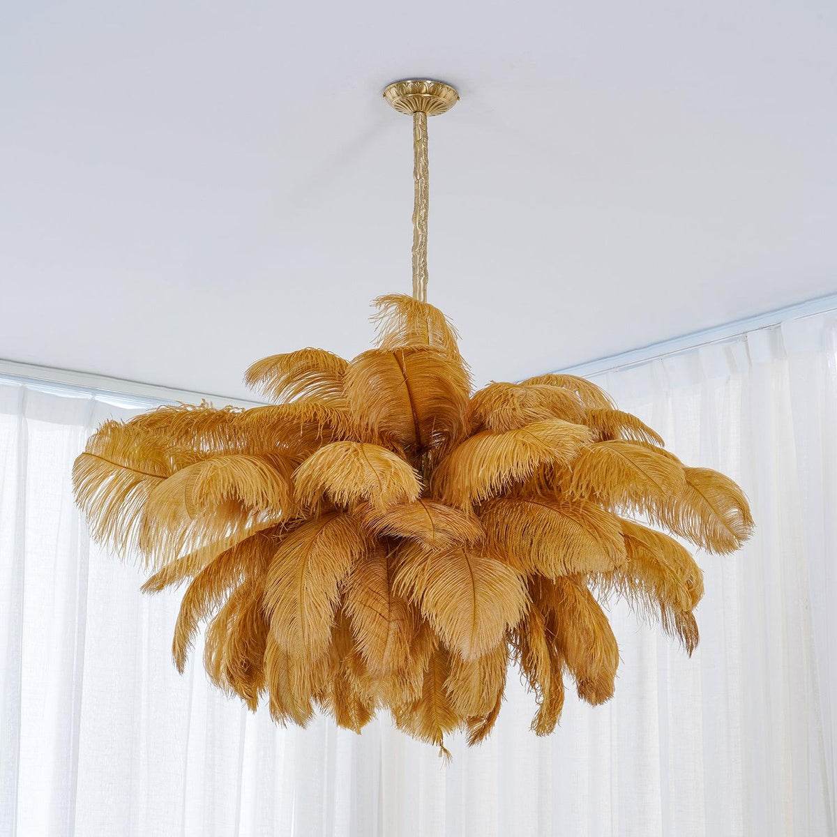 Ostrich Feather Chandeliers