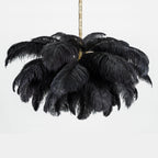 Ostrich Feather Chandeliers