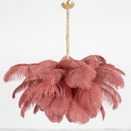 Ostrich Feather Chandeliers