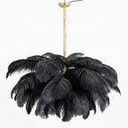 Ostrich Feather Chandeliers