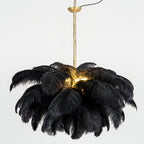 Ostrich Feather Chandeliers