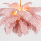 Ostrich Feather Chandeliers