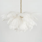 Ostrich Feather Chandeliers